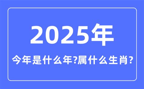 2025年是什么生肖|2025年生肖运势：2025年十二生肖运势详解、2025蛇年运势